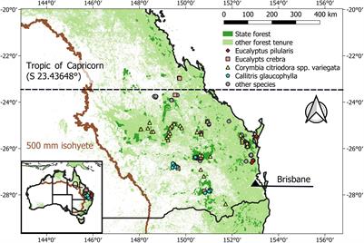 Native Forests Show Resilience to Selective Timber Harvesting in Southeast Queensland, Australia